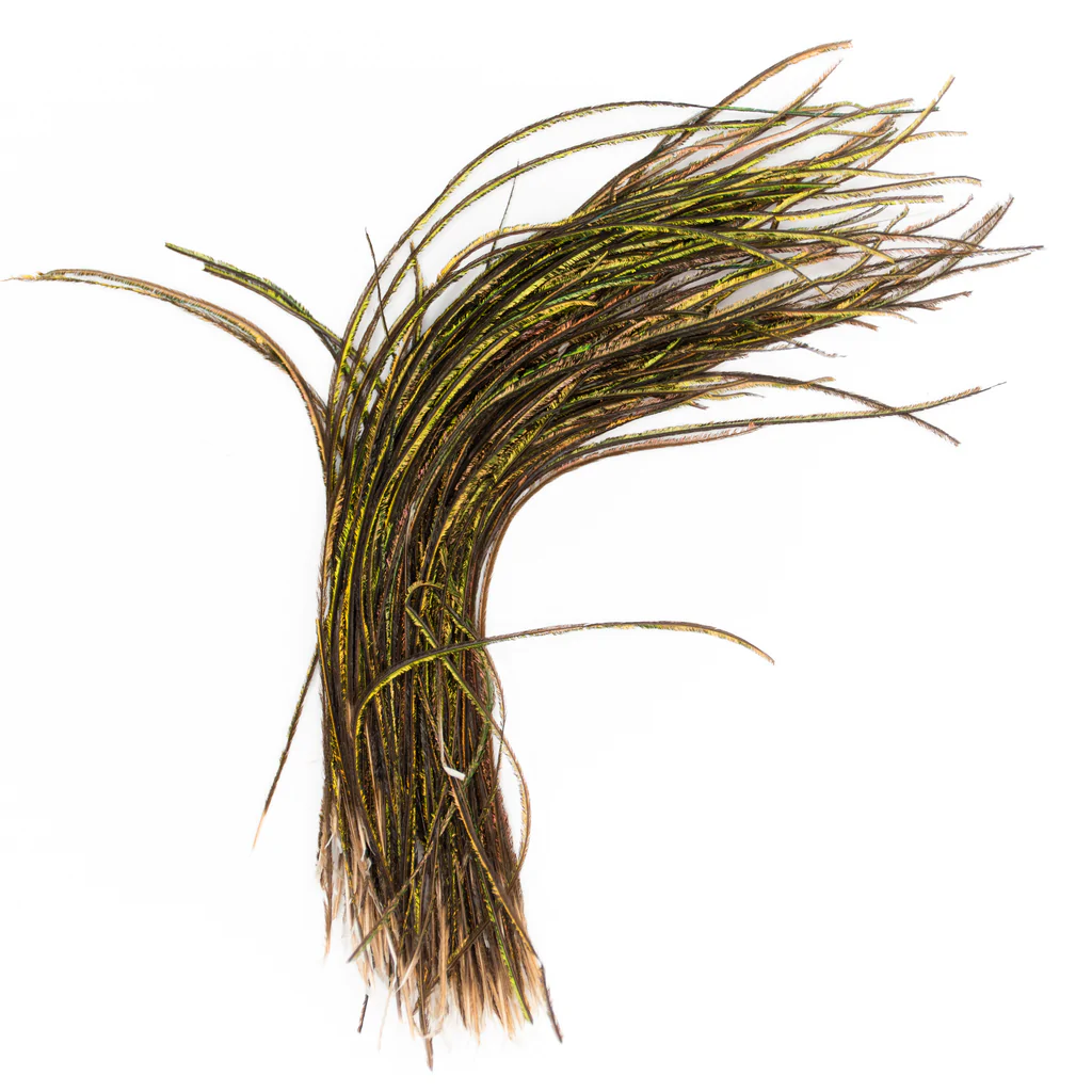 Cascade Crest Peacock Herl