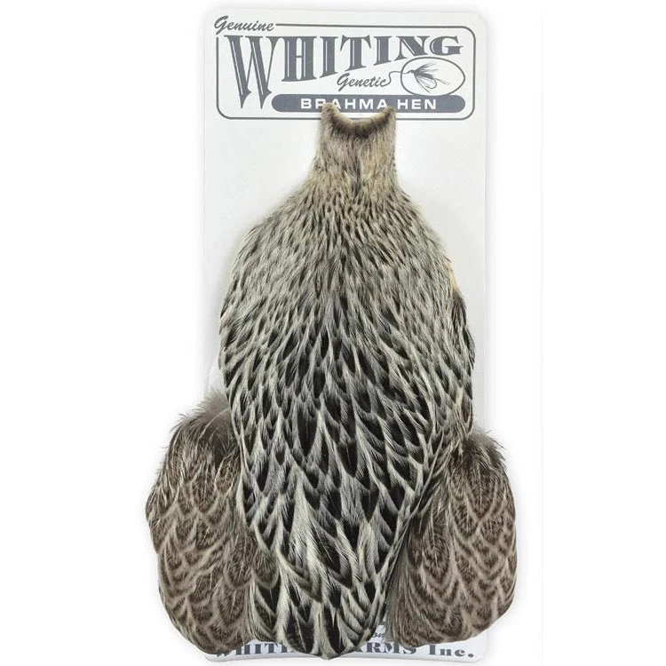 Whiting Farms Brahma Hen Cape