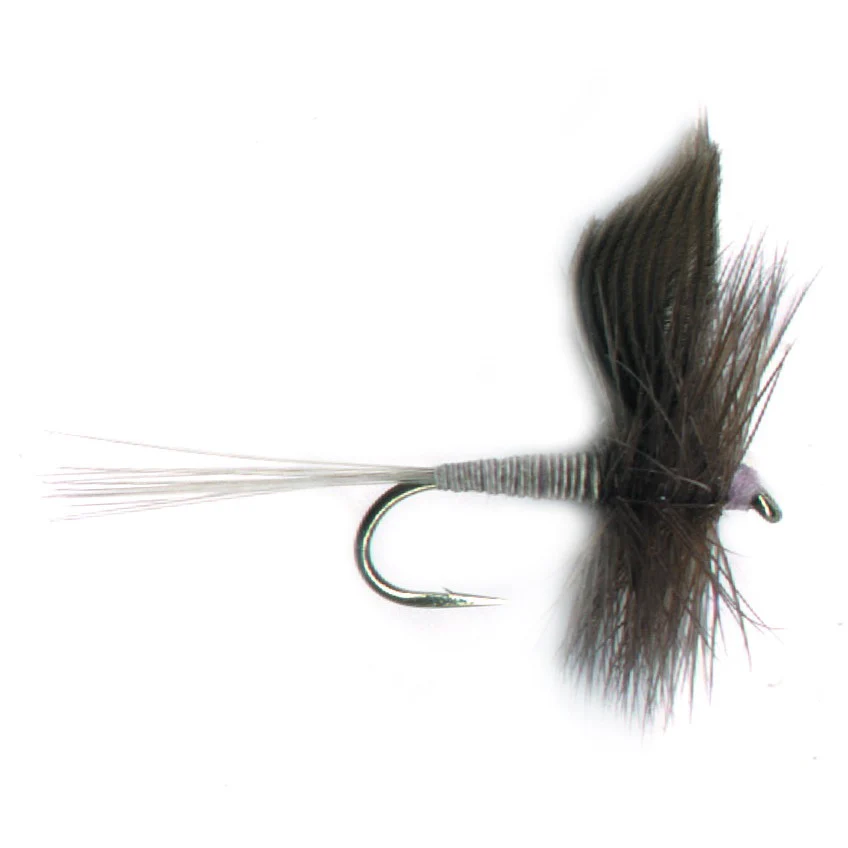 PFG Blue Quill