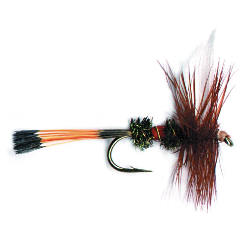 PFG Royal Coachman
