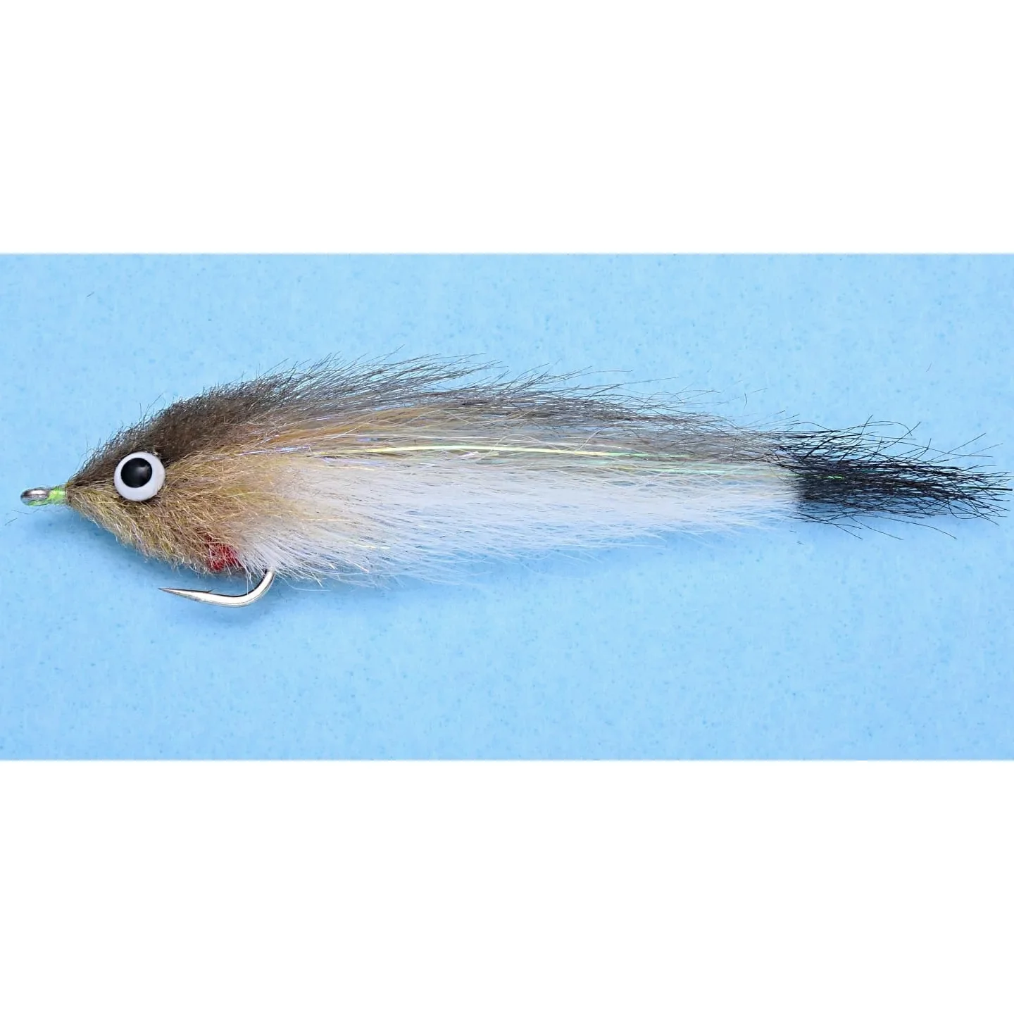 Enrico Puglisi Baitfish - Roosterfish