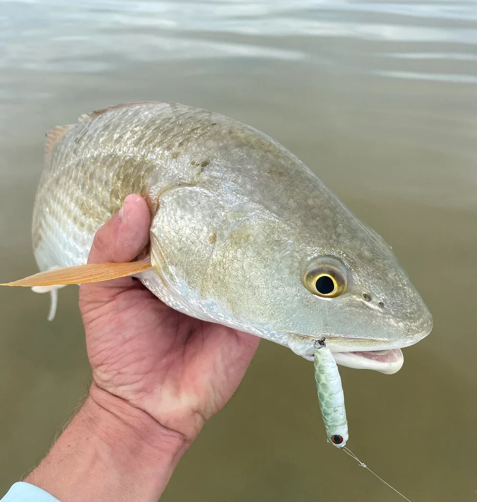 Flymen Fishing Company Spiral Spook - Image 3