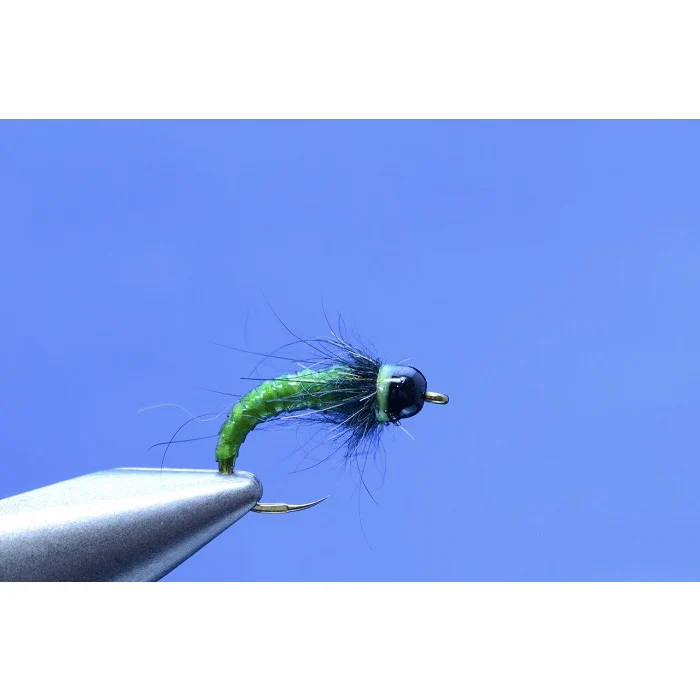 Strolis Rock Candy Larva