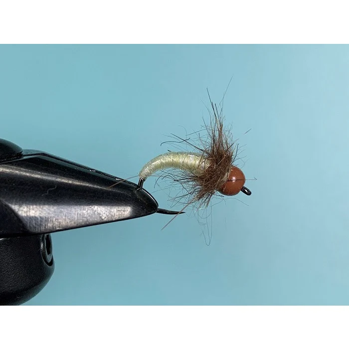Strolis Rock Candy Larva - Image 2
