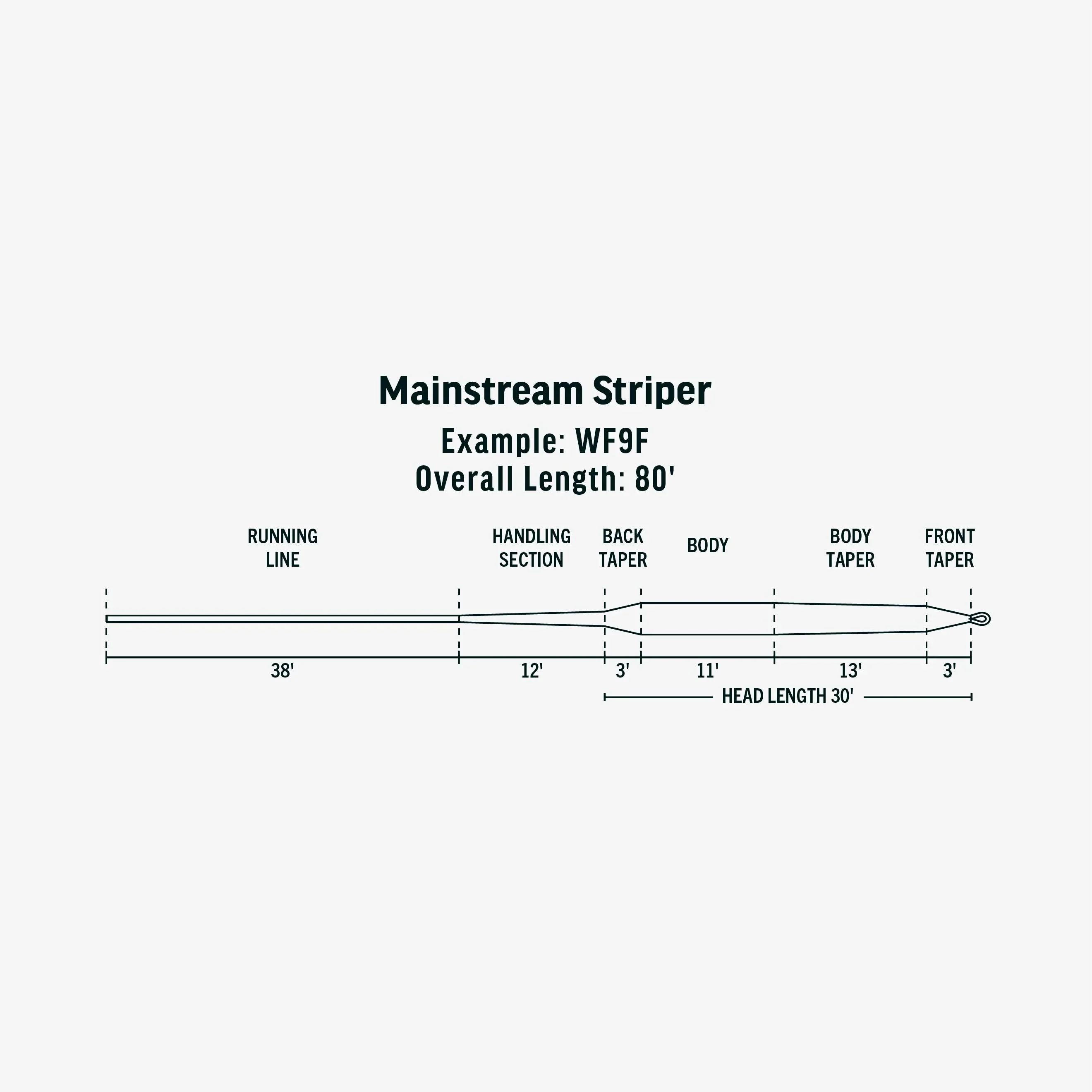 RIO Products Mainstream Striper Coldwater Series Fly Line - Image 2