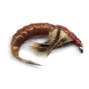 PFG Rob's Realistic Caddis Pupa - Image 2
